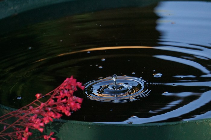 A raindrop splashing down into a barrel of water