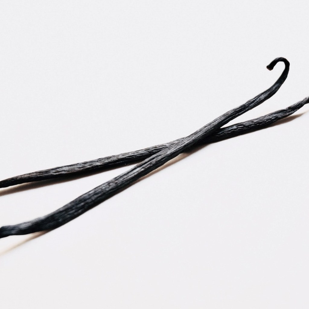 A pair of dried vanilla beans