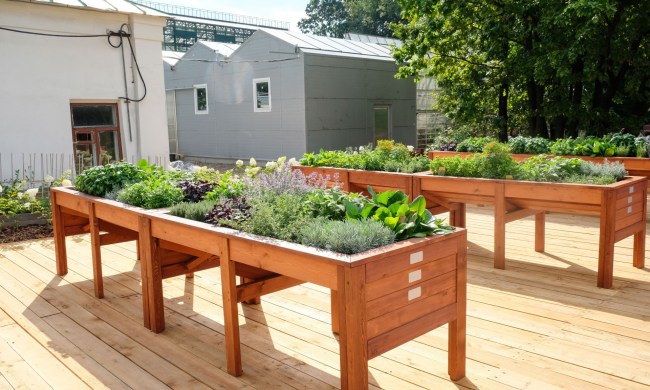 Garden boxes with legs
