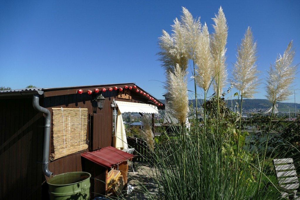 A garden shed with a green rain barrel