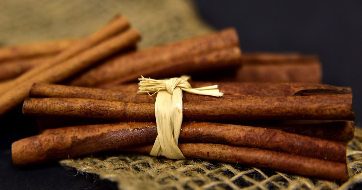 How To Grow and Care for a Cinnamon Tree HappySprout