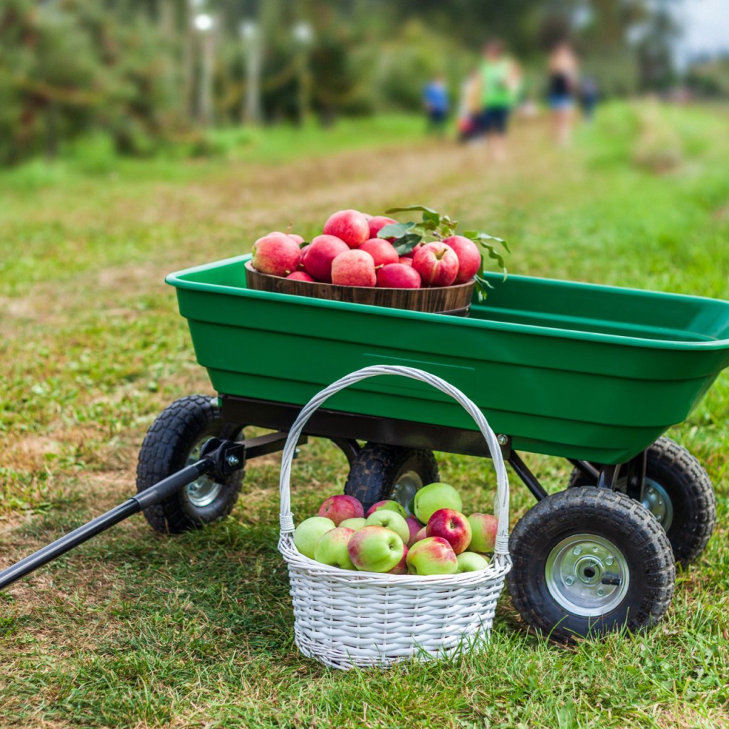 Green garden cart with basket on the side full of fruit