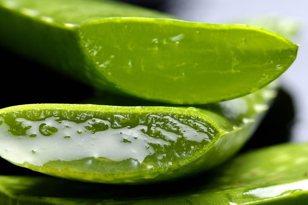 Cut aloe vera