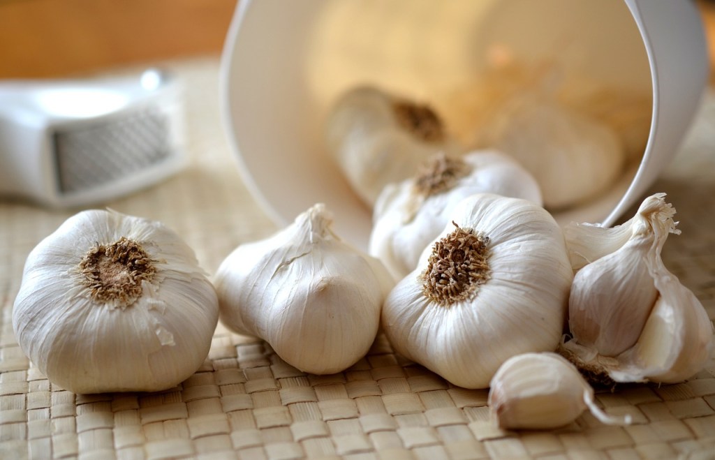 Garlic bulbs and cloves on a table