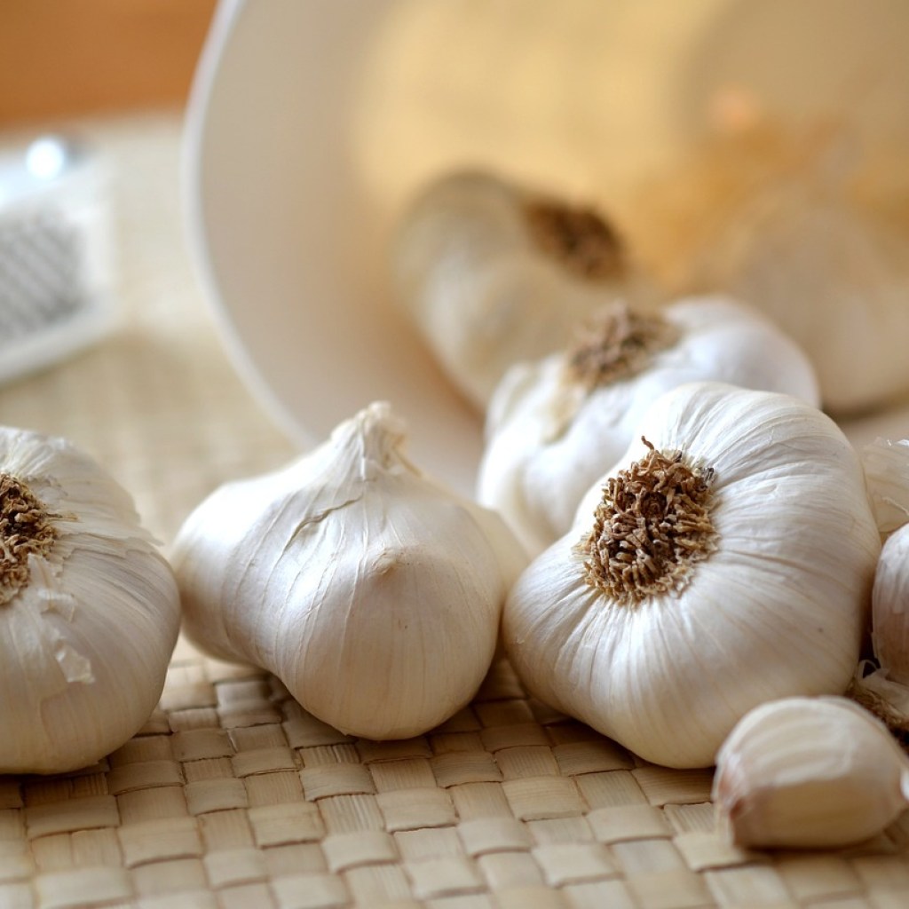 Garlic bulbs and cloves on a table