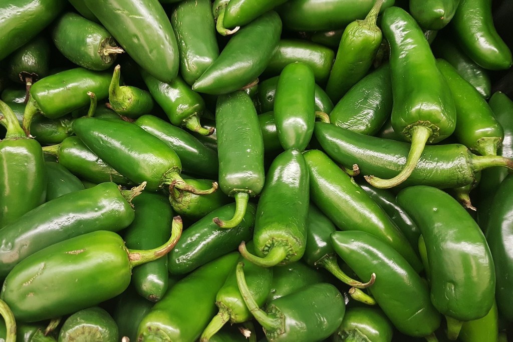 Many green jalapeno peppers