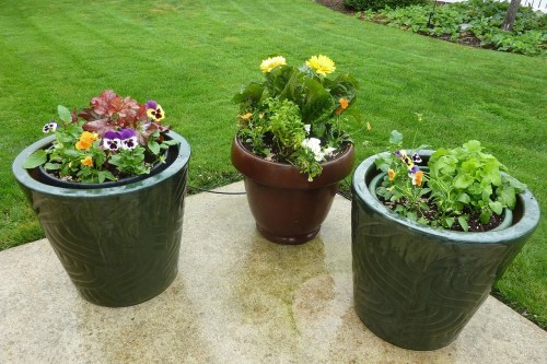 Three container gardens with flowers on a patio