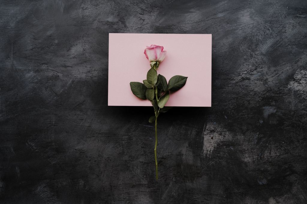 Rose stem against a pink cardstock sheet