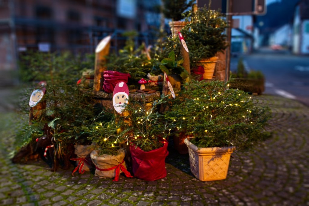 An outdoor display of several potted plants decorated with lights and Santa cutouts