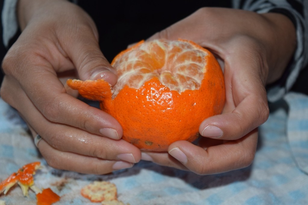 Hands peeling an orange