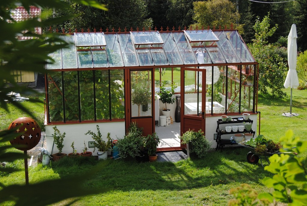 A metal and glass greenhouse in summer