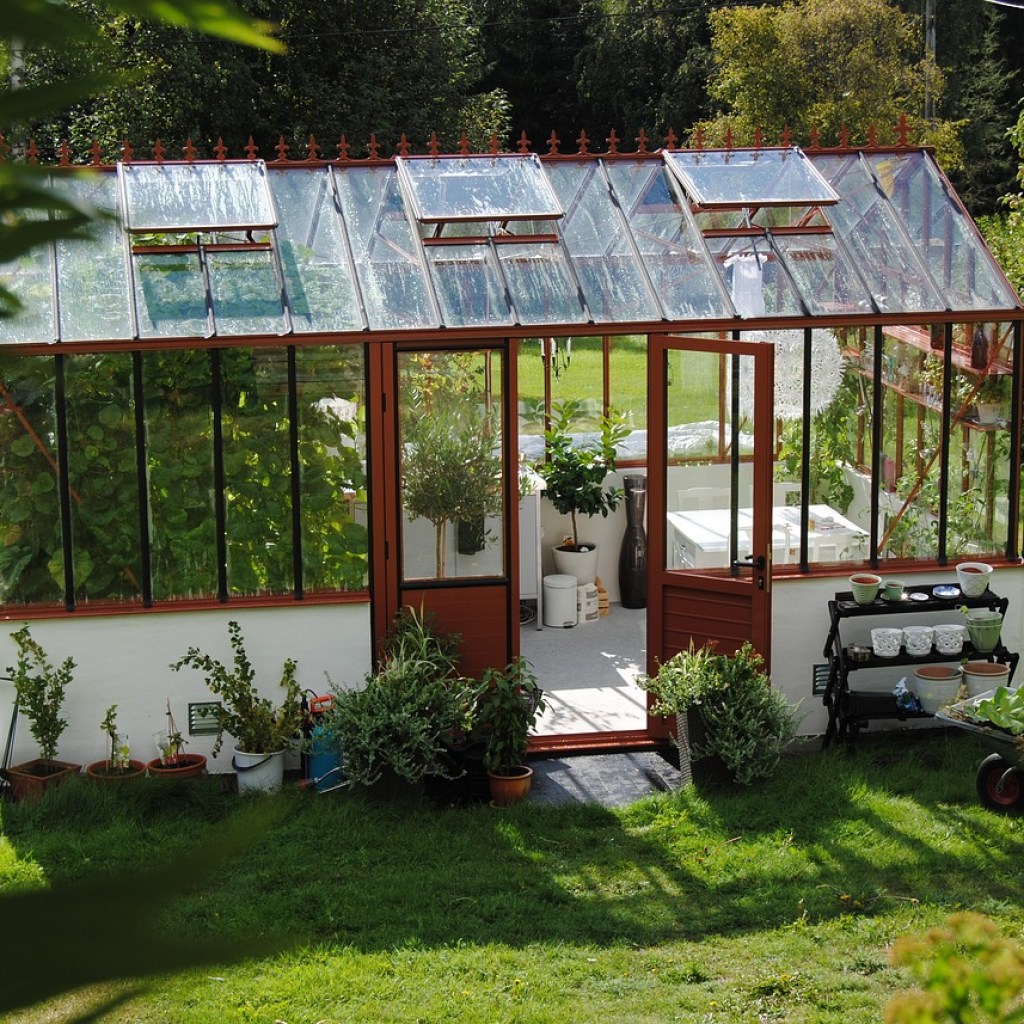 A metal and glass greenhouse in summer