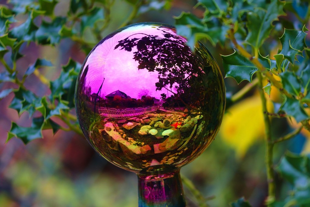 An iridescent pink water globe under a holly plant.