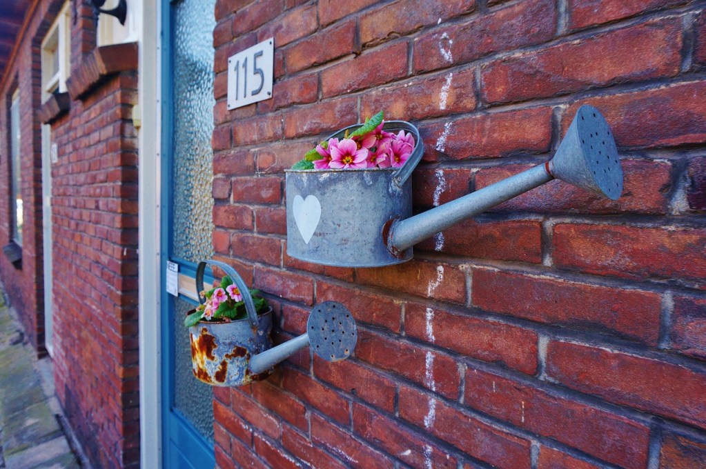 Metal watering cans full of flowers mounted on a brick wall.