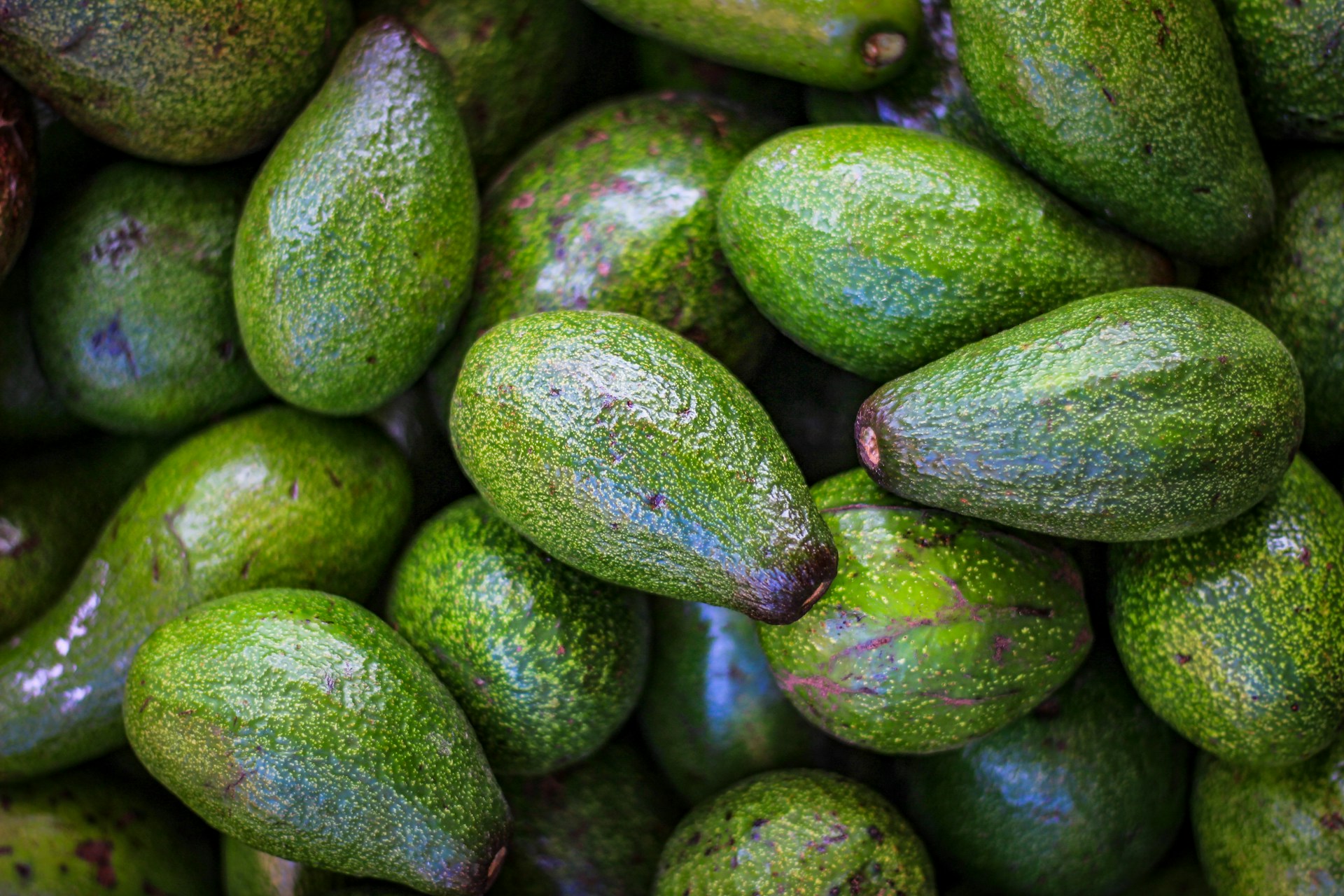 Pile of avocados
