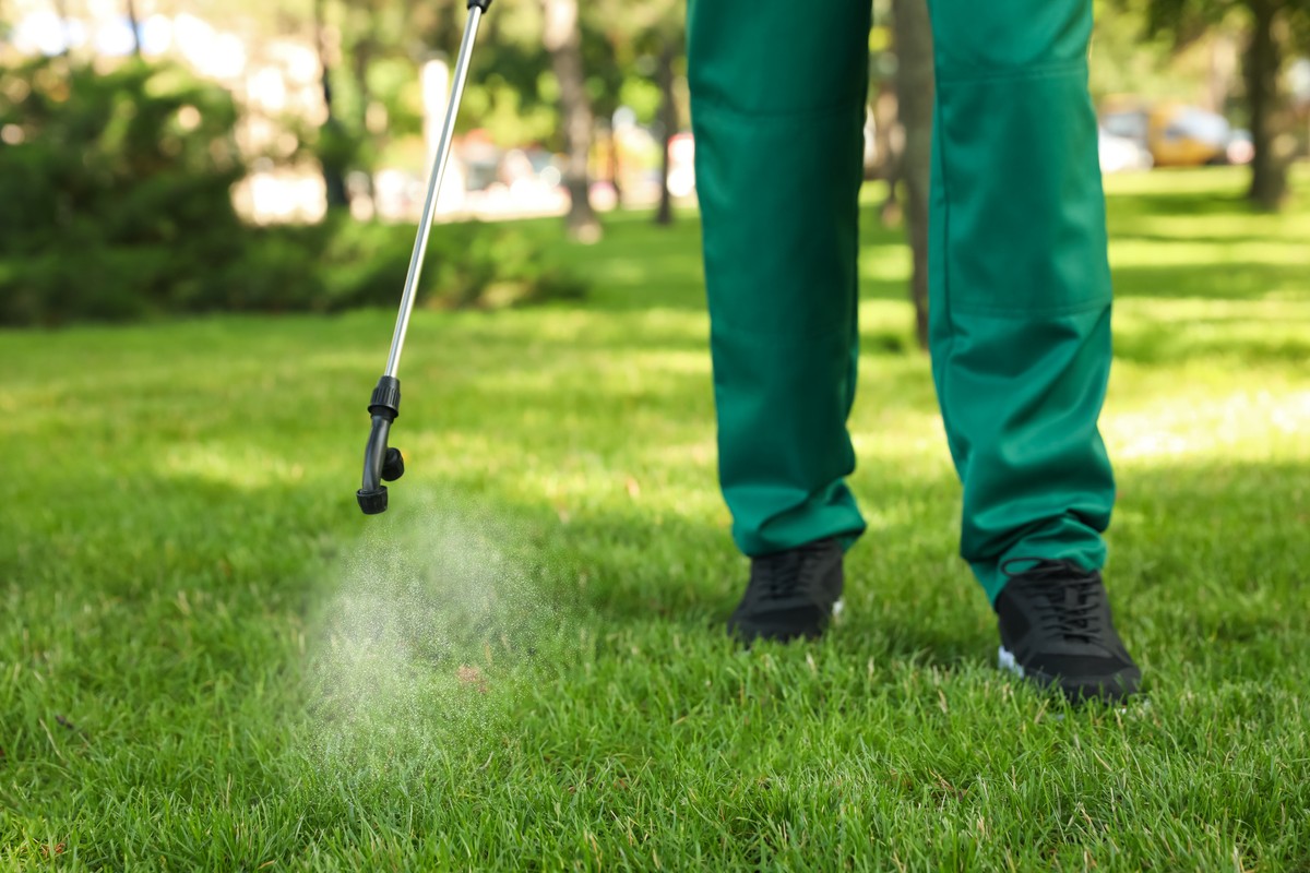 best grass lawn spray