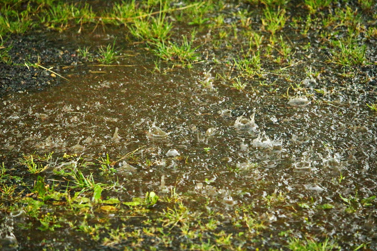 A flooded lawn