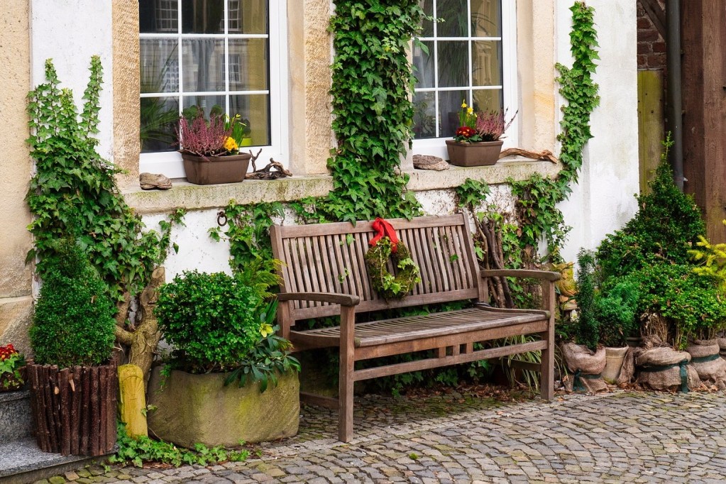 A wooden garden bench against an ivy-covered wall