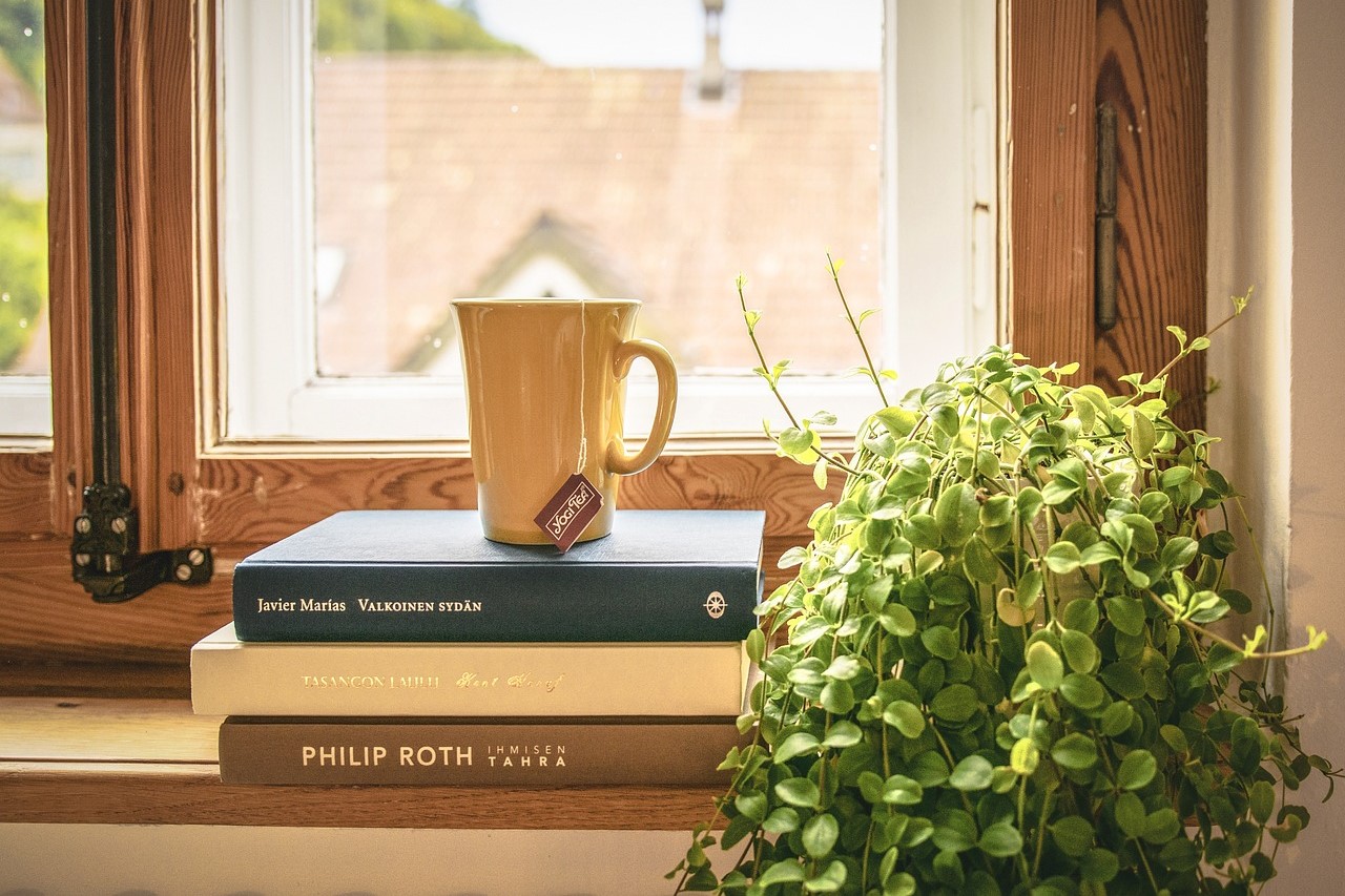 Potted creeping jenny on a windowsill beside a stack of books and mug of tea
