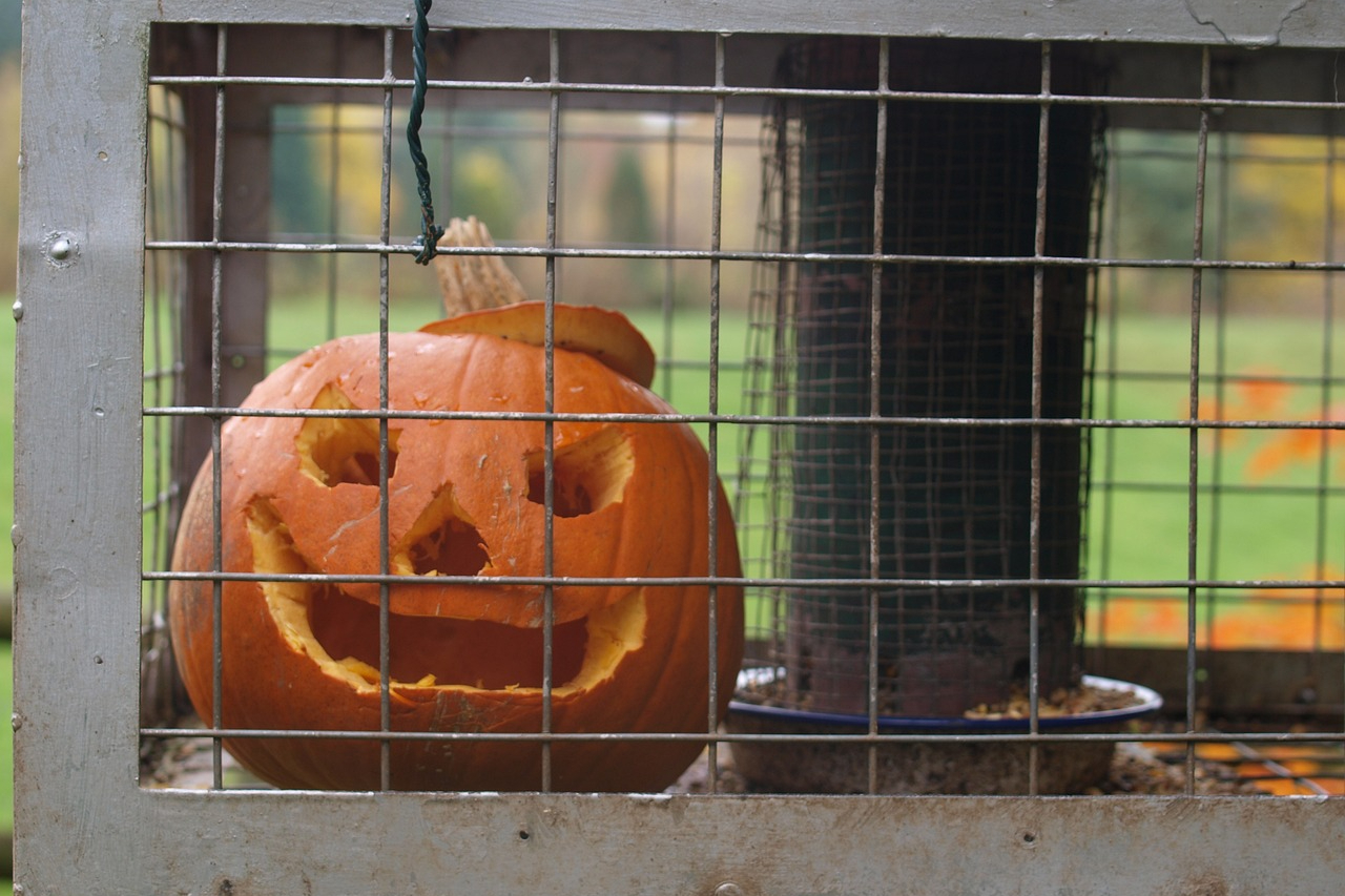 A jack-o-lantern in a metal bird feeder