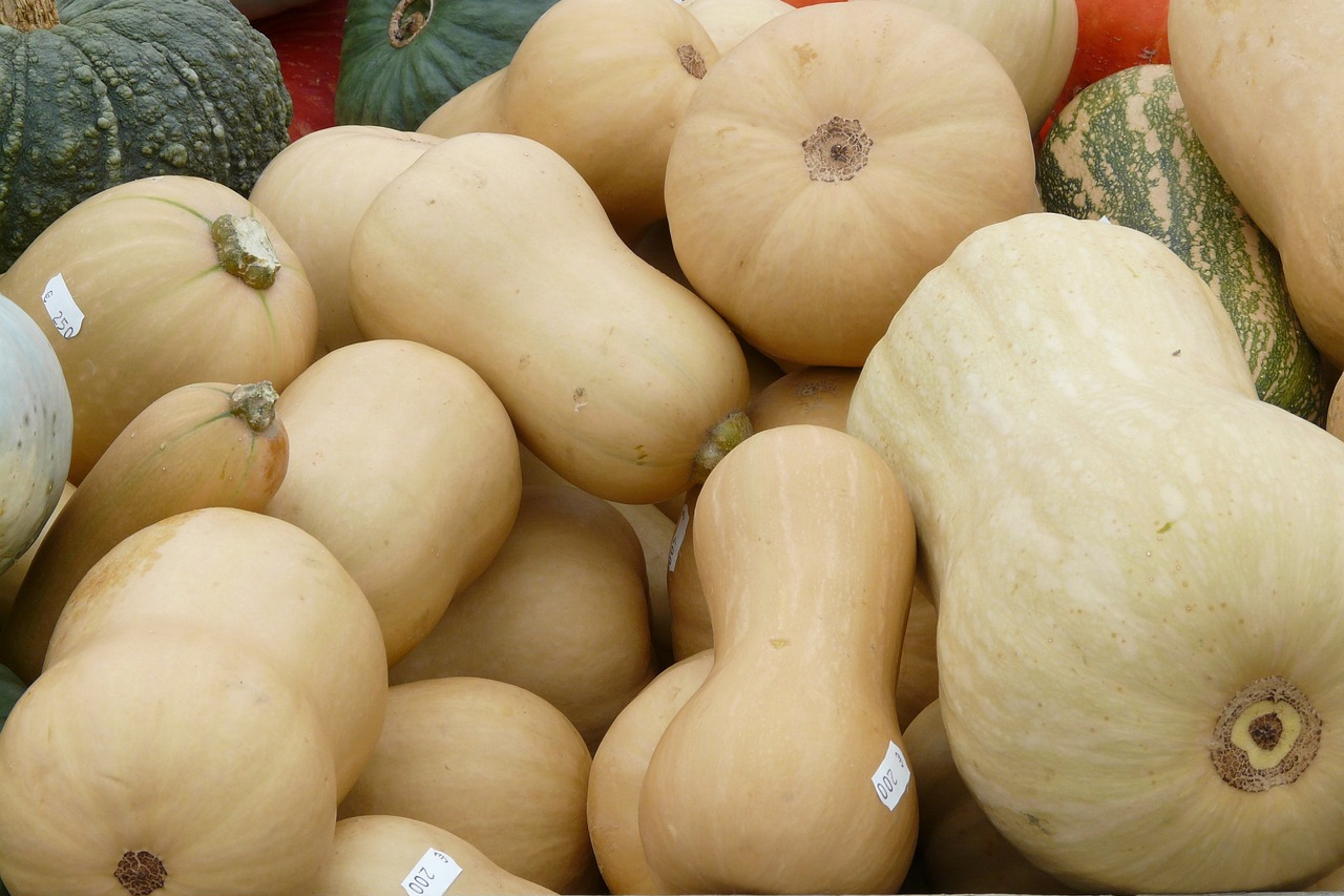 A pile of butternut squashes and pumpkins