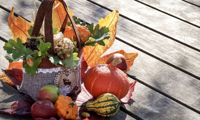 A basket with fall leaves and small gourds
