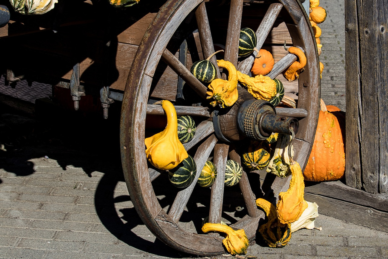 A wagon wheel covered in decorative gourds