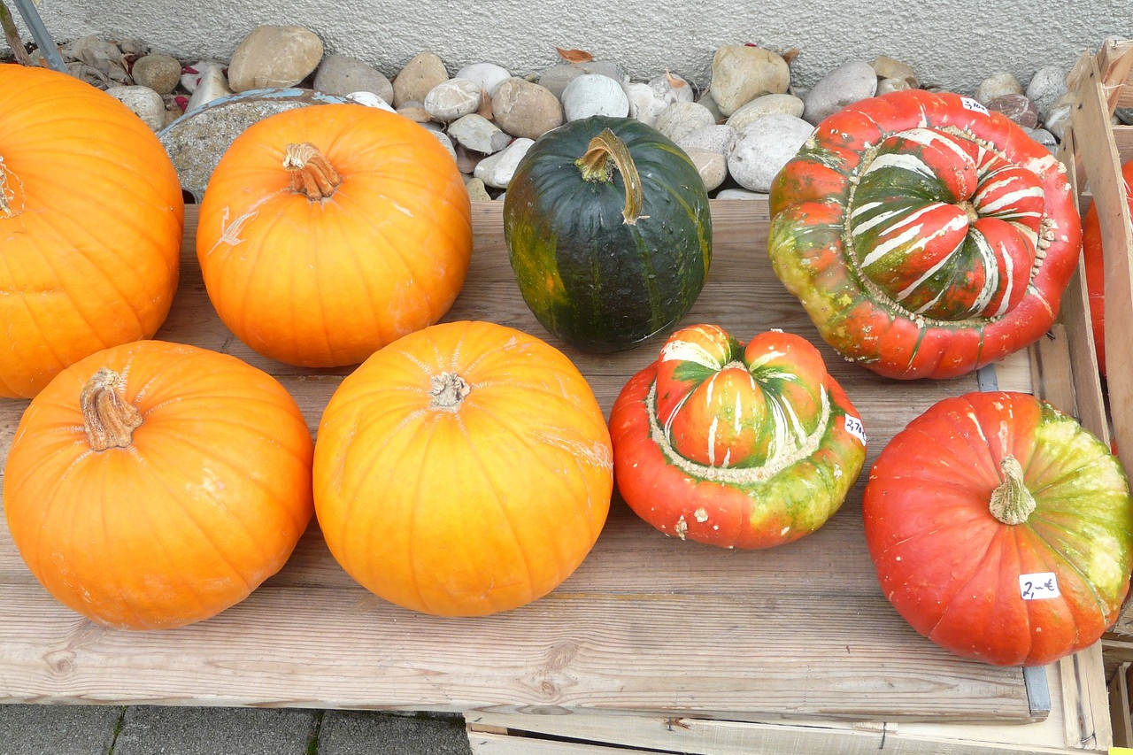 Several types of pumpkins including turban squash
