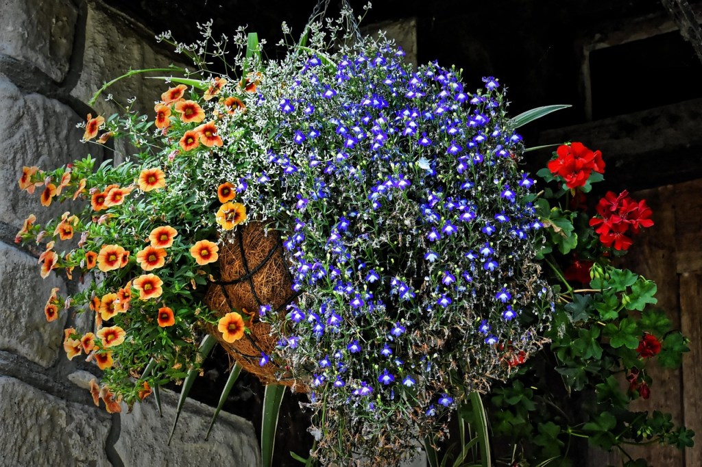 A hanging basket with assorted flowers