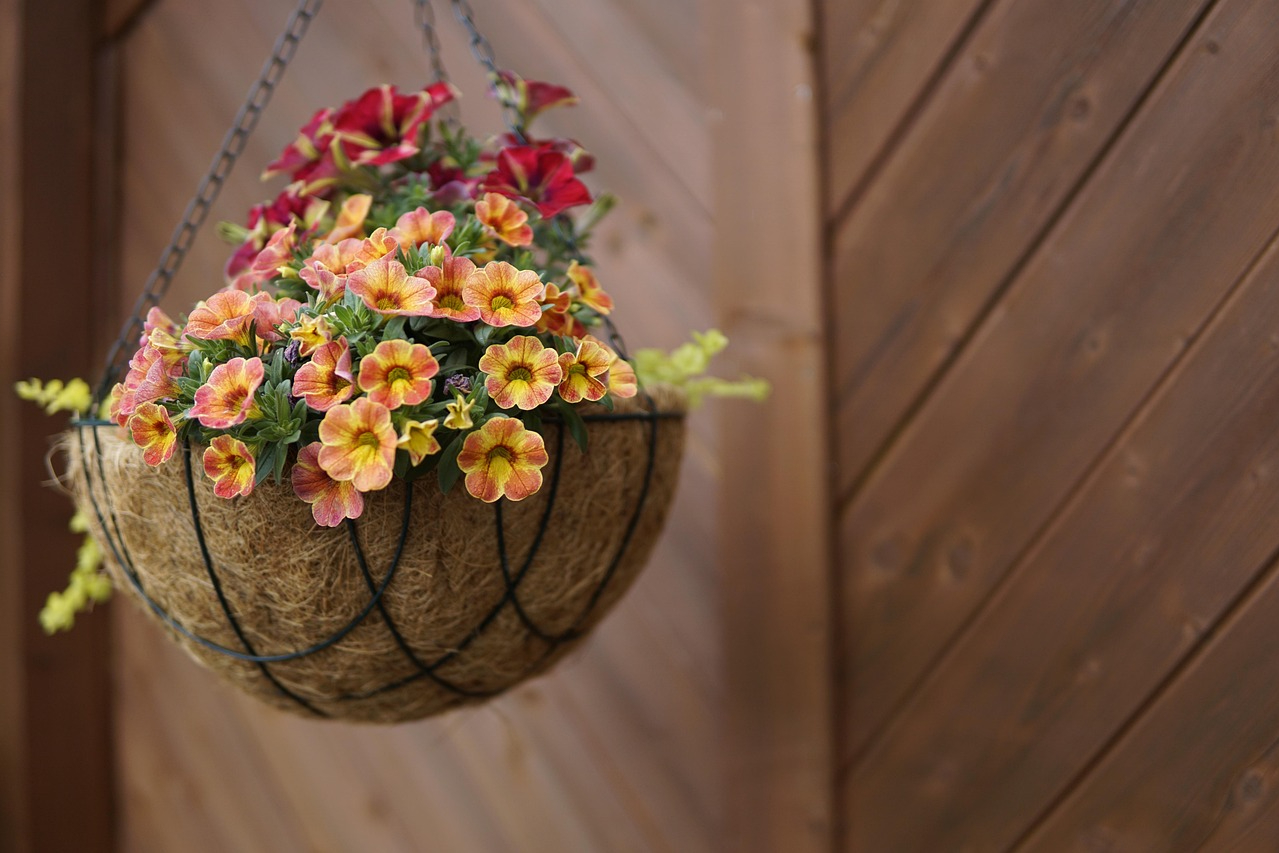 A small hanging basket with flowers