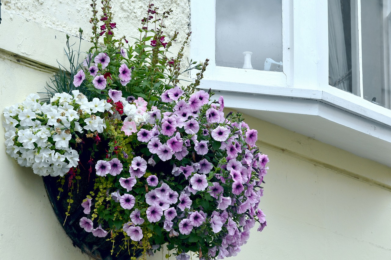 A wall-mounted planter with assorted flowers