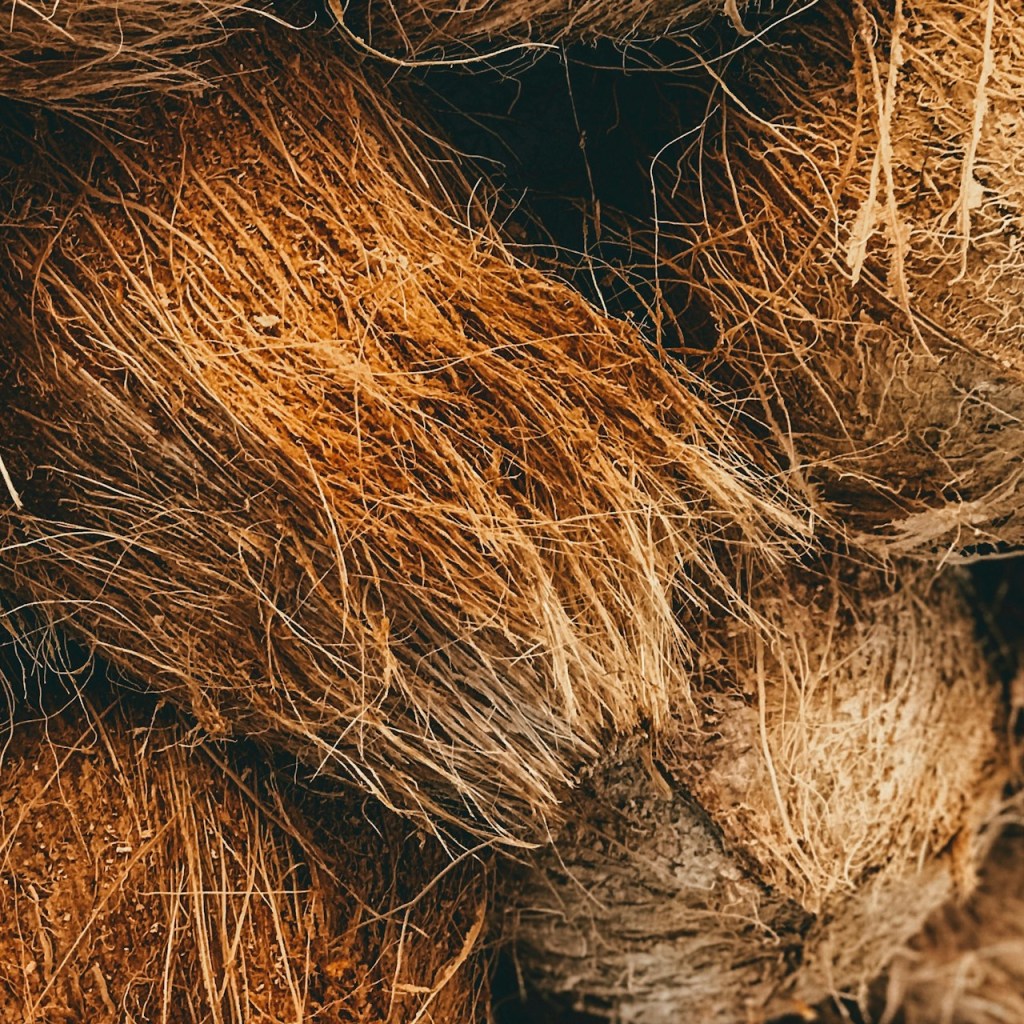 Stack of coconut husks