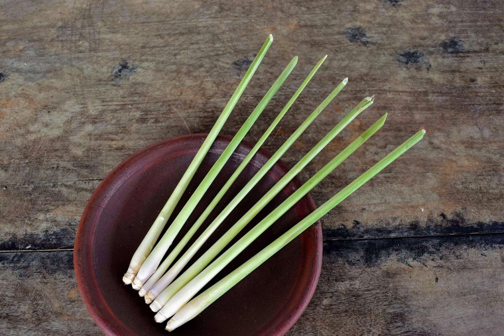 Lemongrass stems in a bowl